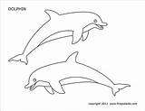 Dolphin Firstpalette sketch template