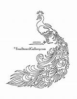 Peacock Stencil Printable Stencils Patterns Quilling Template Designs Own Thousands Make Ready Drawing Use Templates Outline Etching Freestencilgallery Glass Large sketch template