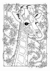 Coloring Pages Giraffe Colour Colouring Adult Book Animal Patterns Dibujo Mandala Kindle Color Adults Giraffes Printable Sheets Para Mandalas Books sketch template