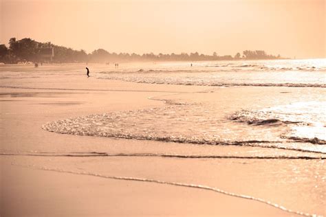 kotu beach visit africa the gambia gambia