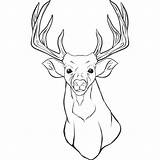 Deer Coloring Pages Head Template Adult sketch template