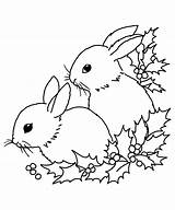 Christmas Bunnies Pages Coloring Motive Holy sketch template