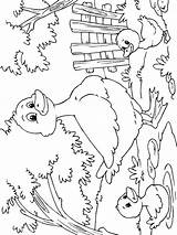 Duck Ducklings Mother Colouring Pages Colour Coloringpage Ca Coloring Check Category sketch template