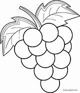 Coloring Pages Grapes Printable Easy Grape Fruit Cartoon Print Drawing Kids Paper Choose Board Format Vector Sheets sketch template