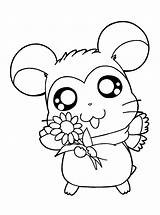 Hamster Hamtaro Kleurplaten Kleurplaat Coloriages Kuromi Animaatjes Picgifs sketch template
