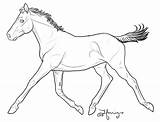 Trotting Foals Coloring sketch template
