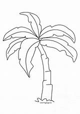 Palm Tree Coloring Leaf Template Pages Leaves Tropical Drawing Printable Color Getdrawings Getcolorings Merrychristmaswishes Info Print Fold Origami Iris Cutting sketch template