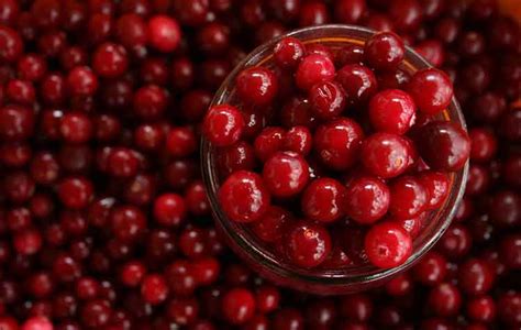 cranberry healthiculture