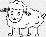 Domba Mewarnai Cordeiro Behold Lambs sketch template