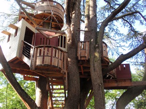 tree houses interior design ideas