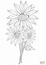 Coloring Sunflowers Pages Printable sketch template