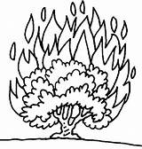 Bush Burning Moses Coloring Pages Drawing Bushfire Craft Printable Kids Bible School Sunday Activity House Fire Activities Color Story Commandments sketch template