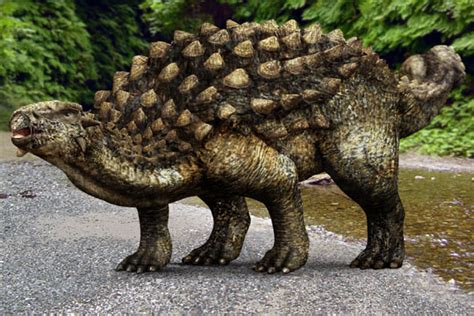 ankylosaurus junglekeyfr image