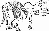 Dinosaur Coloring Skeleton Fossil Pages Bones Printable Drawing Triceratops Line Fossils Color Cliparts Kids Animal Print Clipart Printables Minecraft Getcolorings sketch template