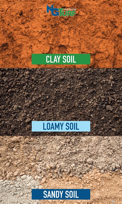 growing grass   soil types ng turf