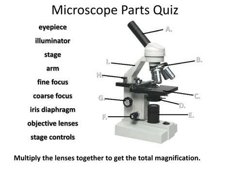 microscope parts quiz worksheet