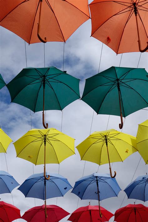 photoeclectica umbrellas