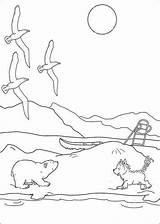 Lars Polar Bear Little Husky Coloring Pages Alaskan Fun Kids Kleine sketch template