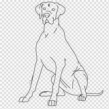 Dane Hound Basset Breed Dobermann Redbone Coonhound Hiclipart sketch template