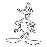 Duck Daffy Coloring Pages Drawing Top Kids Color Drawings Paintingvalley sketch template