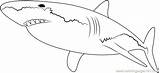 Shark Baby Coloring Pages Sharknado Printable Sheet Getcolorings Color Sharks Getdrawings sketch template