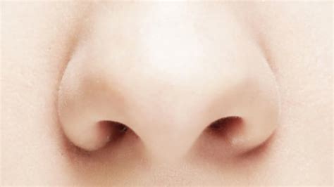 study human nose  detect  trillion scents youtube