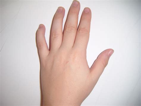 child hand  stock photo public domain pictures