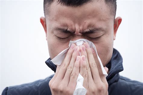heres     runny nose   cold