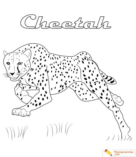 cheetah coloring page   cheetah coloring page