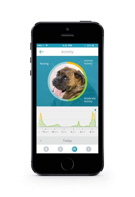 findster  affordable gps tracking system  children pets