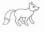 Zorro Coloring Pages Animal Color Animals Print Back sketch template