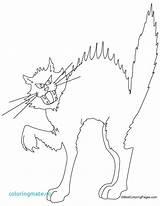 Cat Coloring Pages Cats Warrior Scary Splat Colouring Printable Color Print Halloween Getcolorings Comments Coloringhome Getdrawings Popular Colorings sketch template