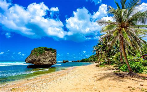 8 Best Areas To Stay In Barbados Complete Guide – Act News