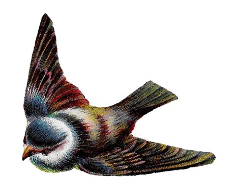 antique images  flying bird image digital corner design printable