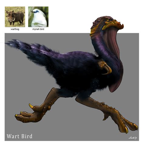 random creature mashup project  wart bird midhat kapetanovic  artstation  httpswww