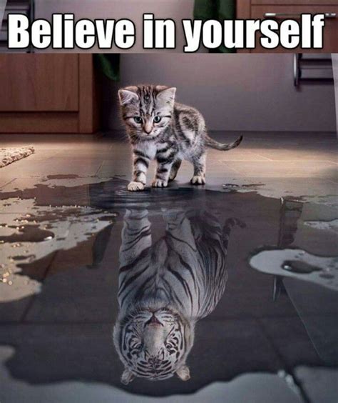 believe in yourself quotes and other funny s pinterest