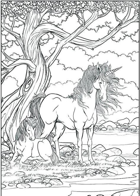 unicorn scene coloring page  adults unicorn coloring pages animal