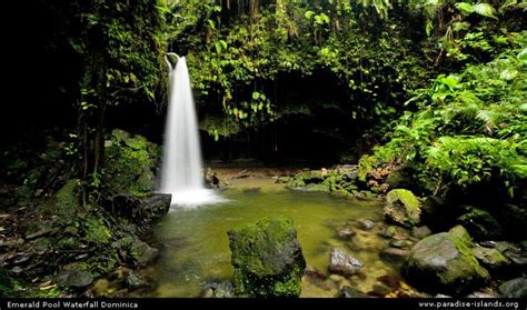 Nature Island Dominica Travel