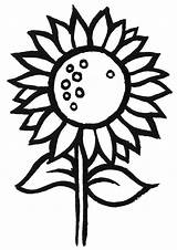 Sunflower Coloring Pages Kids Simple Flower Clipart Drawing Colouring Print Color Printable Template Cliparts Cartoon Pattern Collection Getdrawings Library Mandala sketch template