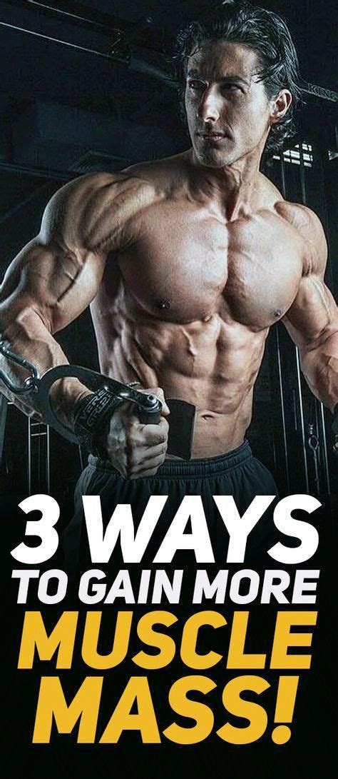 attractive classified mens workout routine gym my link muscle mass