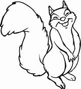 Squirrel Coloring Pages Kids Animal Sheets Visit sketch template