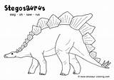 Coloring Stegosaurus Dinosaur Pages Pdf Kids Dinosaurs 색칠 공부 Colouring Sheets 공룡 Designlooter 컬러링 Print 무료 Facts 65kb 어린이 보드 sketch template