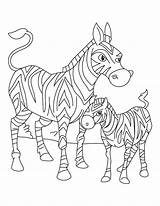 Zebra Coloring Baby Pages Foal Mother Printable Its Animal Clipart Standing Cute Born Just Kids Mom Color Drawing Getcolorings Library sketch template
