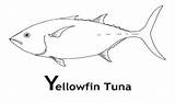 Tuna Coloring sketch template