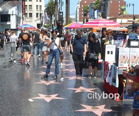 attractions  hollywood walk  fame citybop