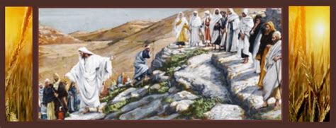 homilies  july  homiletic pastoral review