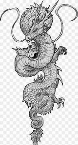 Tatuaje Chino Dragón Pngwing Dragones Guardado Japoneses Monochrome sketch template