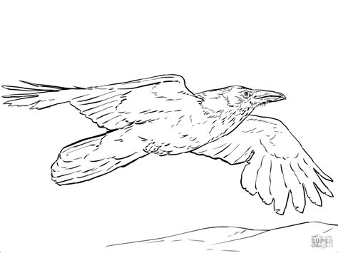 raven coloring pages coloringbay