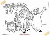 Coloring Pages Madagascar Plus Google Twitter Ebook sketch template