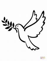 Coloring Dove Peace Pages Printable Drawing Symbol sketch template